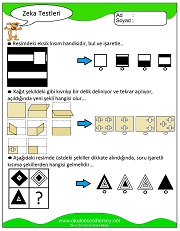 Zeka Gelişim Testleri
